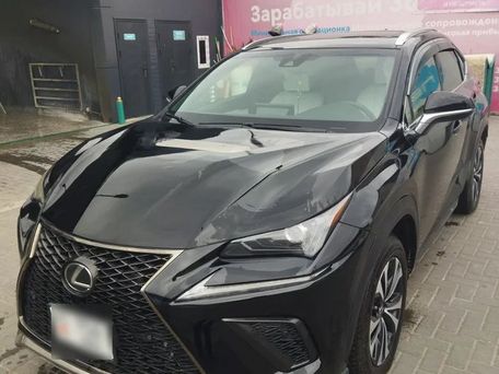 Lexus NX, 2017 — 照片 2