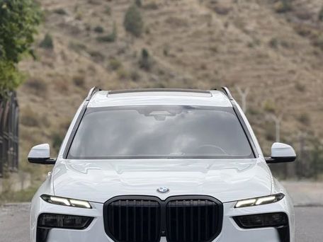 BMW X7, 2023 — фото 1