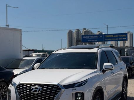 Hyundai Palisade, 2020 — 照片 5