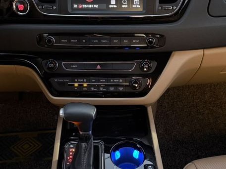 Kia Carnival, 2019 — фото 15