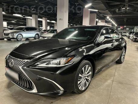Lexus ES, 2021 — сүрөт 3