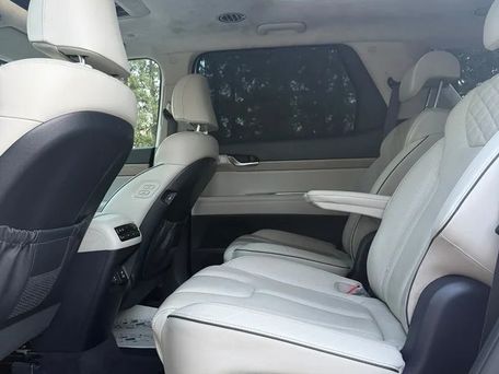 Hyundai Palisade, 2019 — photo 9