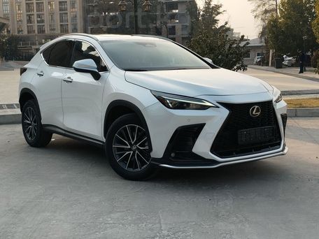 Lexus NX, 2022 — photo 2