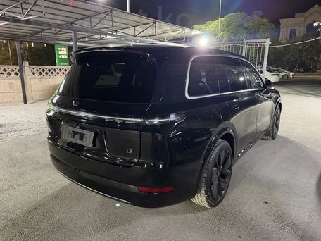 Li Auto (Lixiang) L9, 2024 — 照片 6