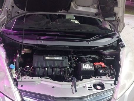 Honda Fit, 2010