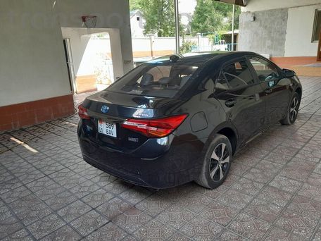 Toyota Levin, 2021 — сүрөт 1
