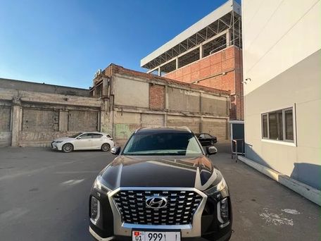 Hyundai Palisade, 2020 — photo 1