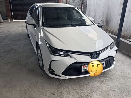 Toyota Corolla, 2019