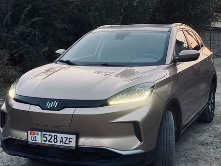 Weltmeister EX5, 2019 — photo 1