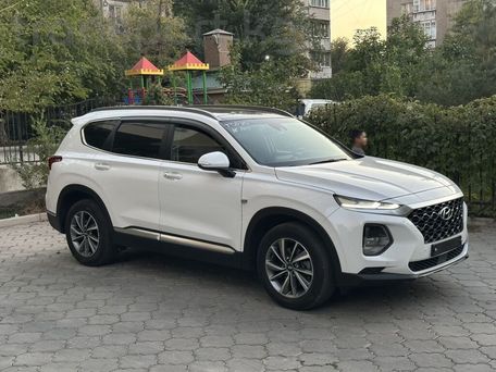 Hyundai Santa Fe, 2019 — фото 17