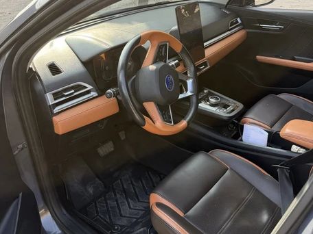 BYD E2, 2021 — photo 7