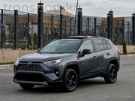 Toyota RAV4, 2019 — фото 4