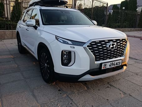 Hyundai Palisade, 2020