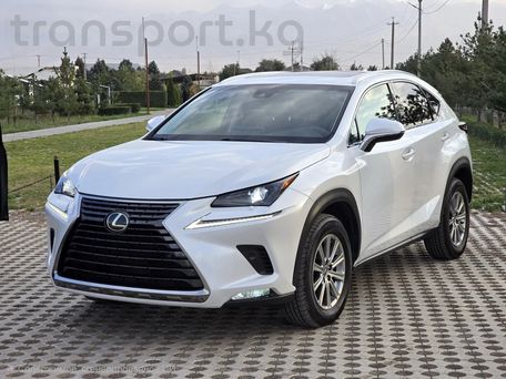 Lexus NX, 2017 — фото 1