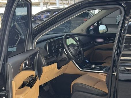 Kia Carnival, 2020 — photo 9