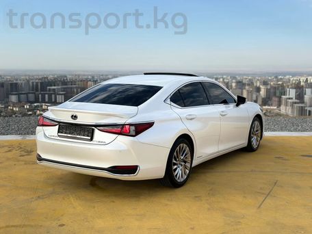 Lexus ES, 2020 — 照片 2