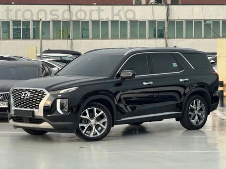 Hyundai Palisade, 2020 — фото 3