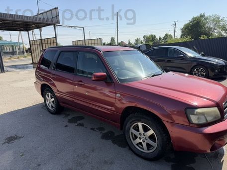 Subaru Forester, 2004 — photo 3