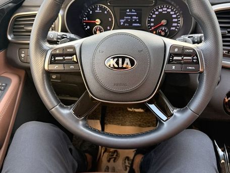 Kia Sorento, 2019 — фото 13