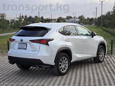 Lexus NX, 2017 — сүрөт 4