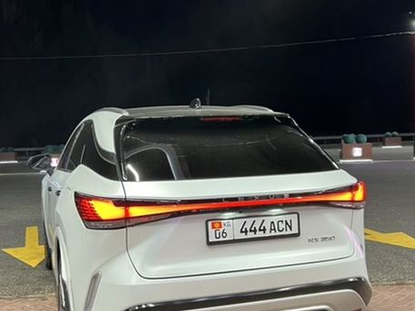 Lexus RX, 2024 — 照片 3