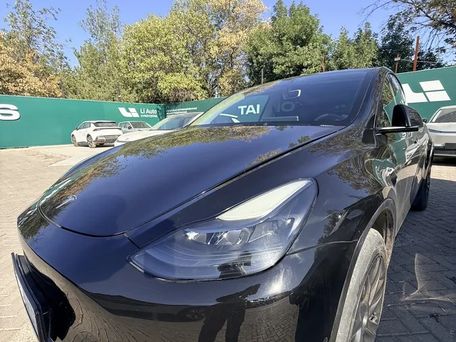 Tesla Model Y, 2023 — фото 2