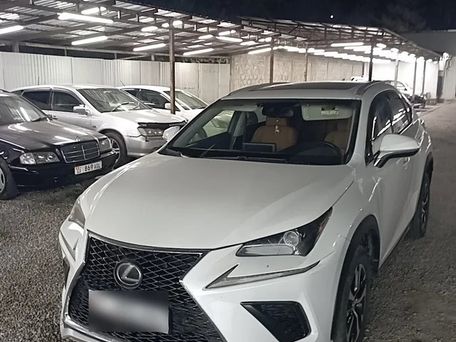 Lexus NX, 2019 — 照片 1