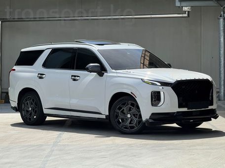 Hyundai Palisade, 2020 — фото 2