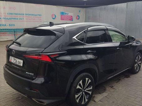 Lexus NX, 2018 — 照片 4