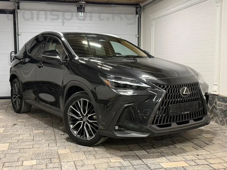 Lexus NX, 2022 — photo 1