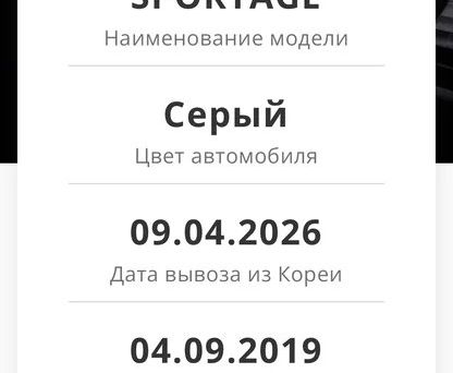 Kia Sportage, 2019 — 照片 12