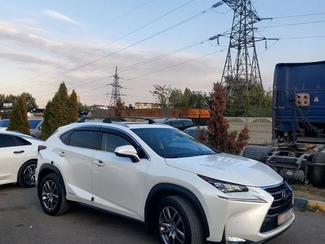 Lexus NX, 2017 — photo 3