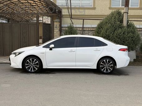 Toyota Levin, 2023 — 照片 3