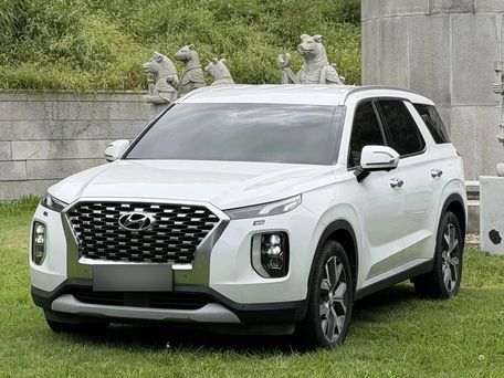 Hyundai Palisade, 2024 — фото 1