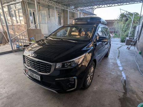 Kia Carnival, 2019 — фото 13