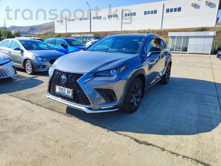 Lexus NX, 2020 — photo 1