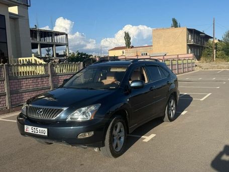 Lexus RX, 2003 — сүрөт 6
