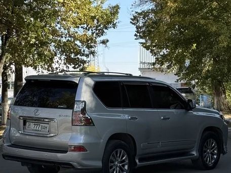 Lexus GX, 2010 — photo 6