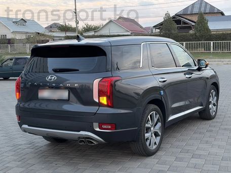 Hyundai Palisade, 2019 — photo 4