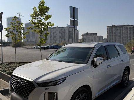 Hyundai Palisade, 2020 — photo 1