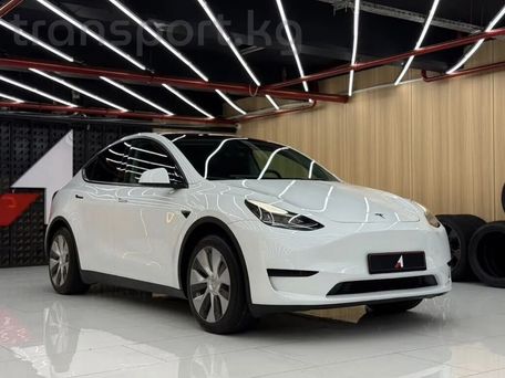Tesla Model Y, 2023 — фото 2