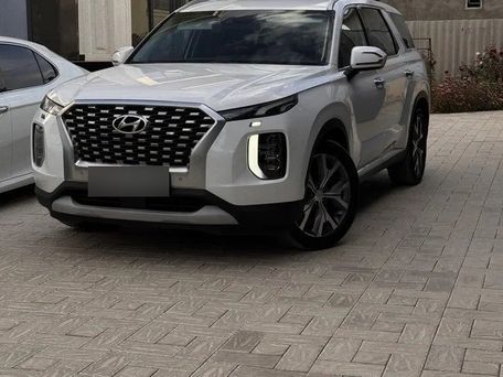 Hyundai Palisade, 2024 — фото 2