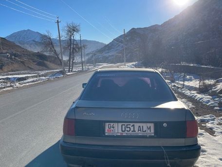 Audi 80, 1992 — 照片 3