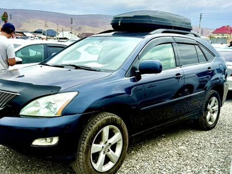 Lexus RX, 2004 — фото 2