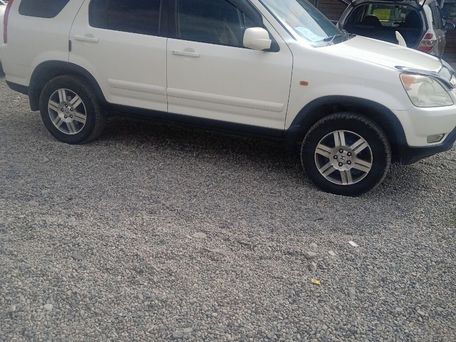 Honda CR-V, 2003 — 照片 10