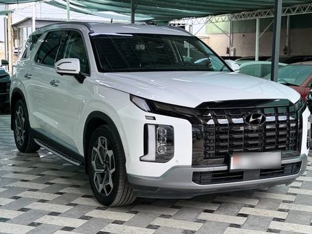 Hyundai Palisade, 2023 — 照片 4