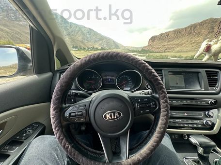 Kia Carnival, 2019 — фото 11