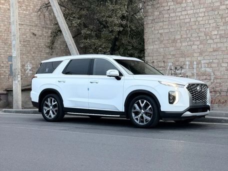 Hyundai Palisade, 2020 — фото 3