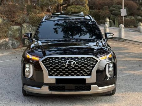 Hyundai Palisade, 2021 — фото 2
