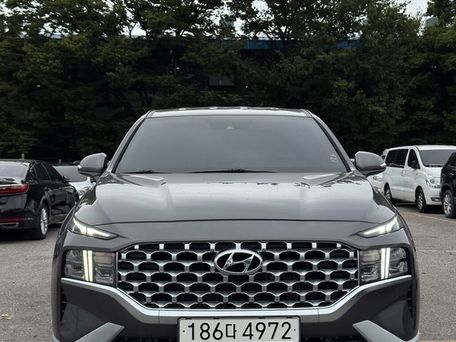 Hyundai Santa Fe, 2020 — фото 2